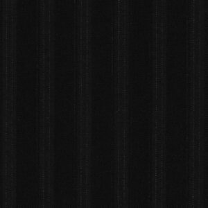 dormeuil guanashina super 200s black with stripes